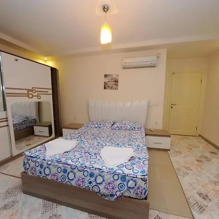 Diamond Hilldeluxe 31 *