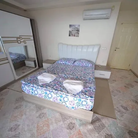Diamond Hilldeluxe 31